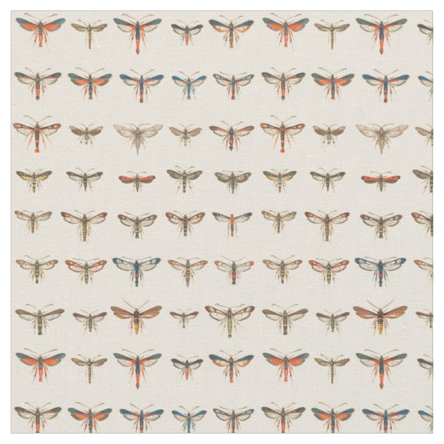 Vintage Clearwing Moths Fabric (Close Up)