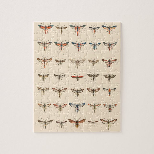 Vintage Clearwing Moths Jigsaw Puzzle (Vertical)
