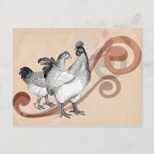 Vintage Cochin Chickens Postcard