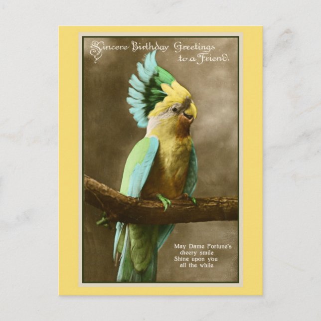 Vintage cockatoo friend birthday photo postcard (Front)