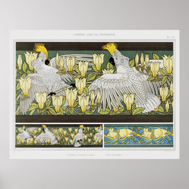 Vintage Cockatoos, Magnolia & White Mice Poster (Front)