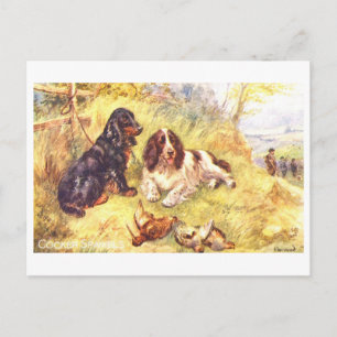 Vintage Cocker Spaniels Postcard