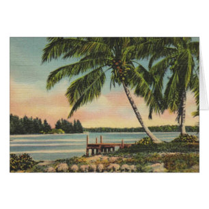 Vintage Coconut Palms Tropical Breeze Sunset