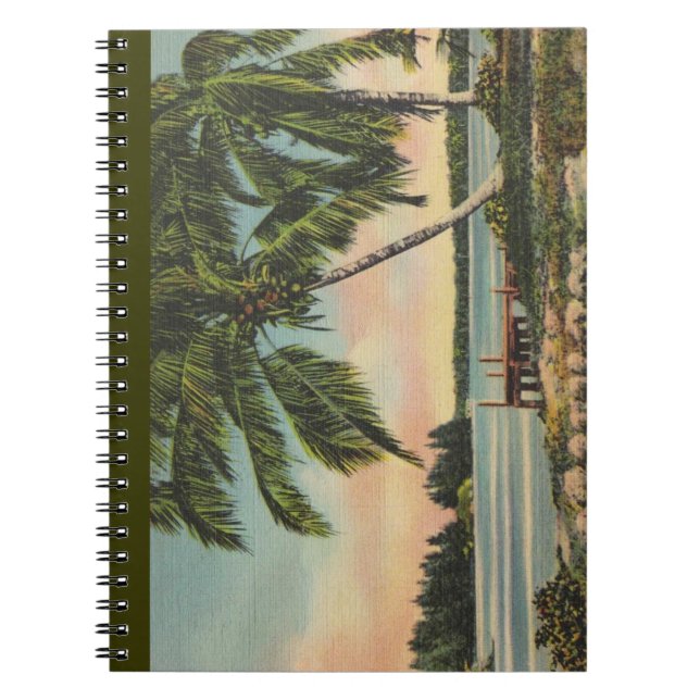 Vintage Coconut Palms Tropical Breeze Sunset Notebook (Front)