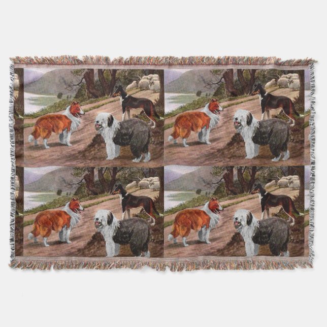 Vintage Collie Dog Trio Throw Blanket (Front)