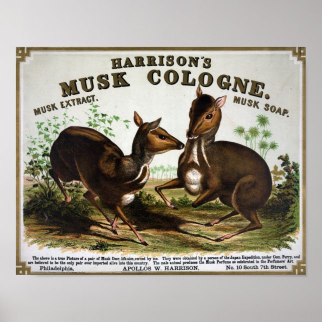 Vintage Cologne Advertising Poster (Front)