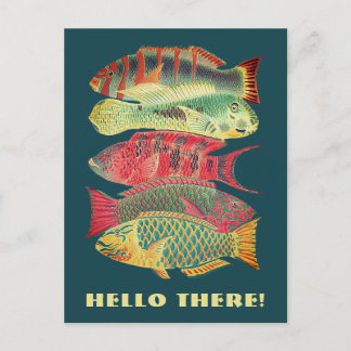 Vintage Colourful Barrier Reef Fish Hello There Postcard