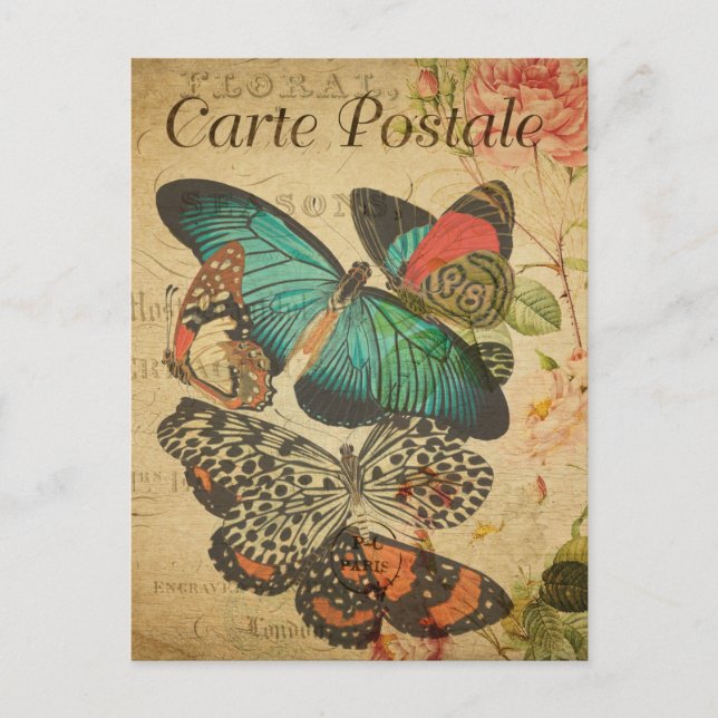 Vintage Colourful butterflies and Moth French Postcard (Front)