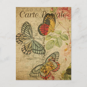 Vintage Colourful Butterflies Pink Roses French Postcard