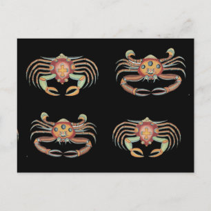 Vintage Colourful Crab Drawing Postcard