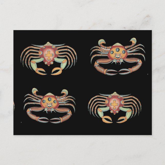 Vintage Colourful Crab Drawing Postcard (Front)