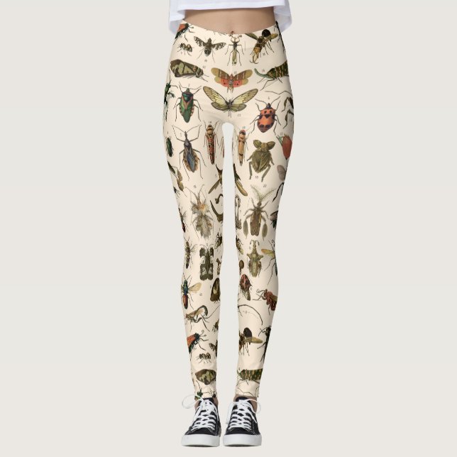 Vintage Colourful Insects Entomology Taxonomy Leggings (Front)