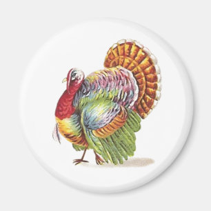 Vintage Colourful Turkey Magnet
