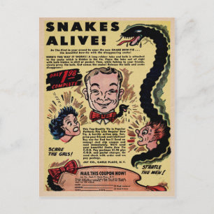 Vintage Comic Mail Order Snakes Advertisement Postcard