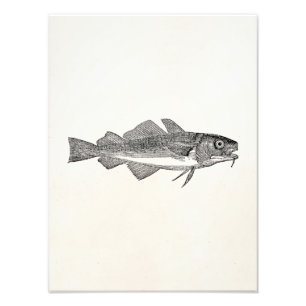 Vintage Common Cod Fish - Aquatic Fishes Template Photo Print