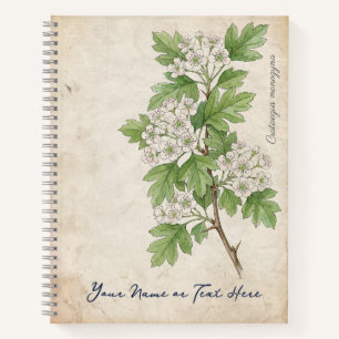 Vintage Common Hawthorn (Crataegus monogyna) Notebook