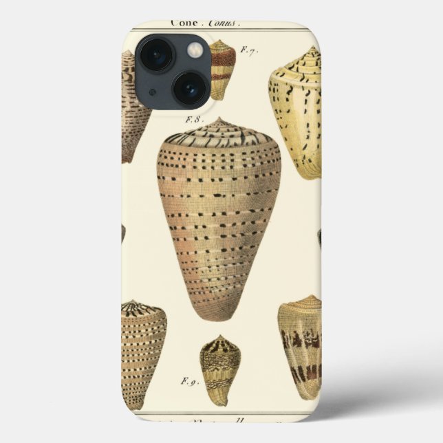 Vintage Cone Shells Case-Mate iPhone Case (Back)