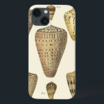 Vintage Cone Shells iPhone 13 Case<br><div class="desc">Artist Denis Diderot is talented and known for his great sea life images. In this vivid image, he captures these crackled cone Conch seashells in their most natural style. Conches are often crackled like these four seashells and in a sepia looking tone. Get your seashell product today and you can...</div>