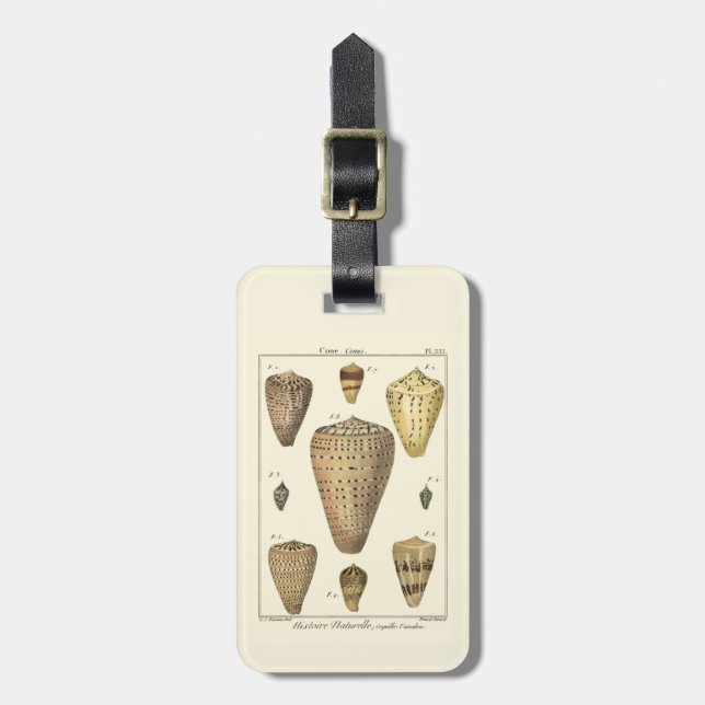 Vintage Cone Shells Luggage Tag (Front Vertical)
