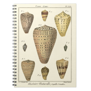 Vintage Cone Shells Spiral Notebook