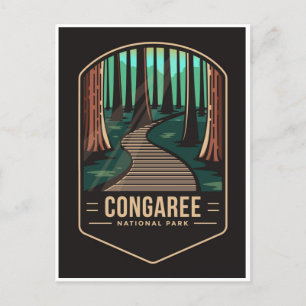 vintage Congaree National Park South Carolina Postcard