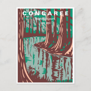 vintage Congaree National Park South Carolina Postcard