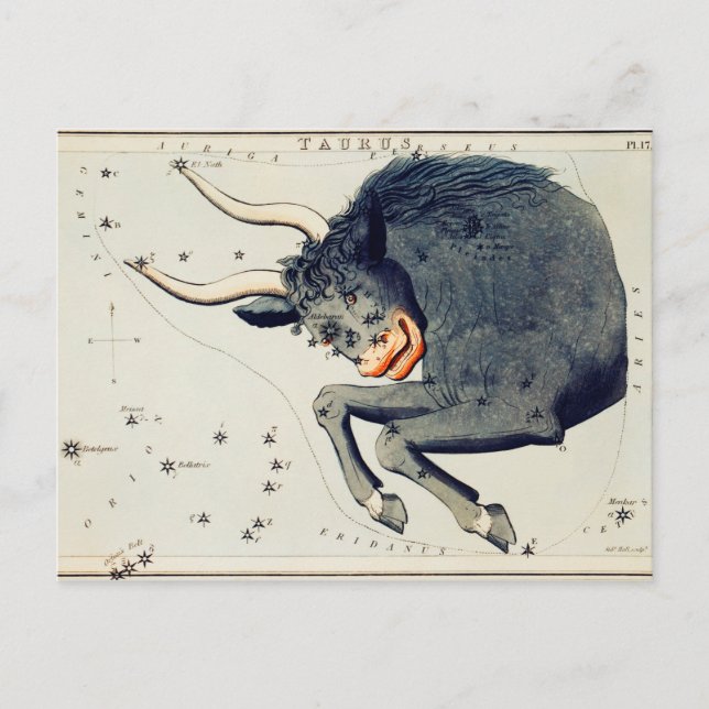Vintage Constellation Illustration Postcard (Front)