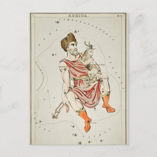 Vintage Constellation Illustration Postcard (Front)