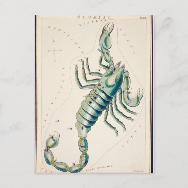 Vintage Constellation Illustration Postcard (Front)