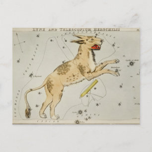 Vintage Constellation Illustration Postcard