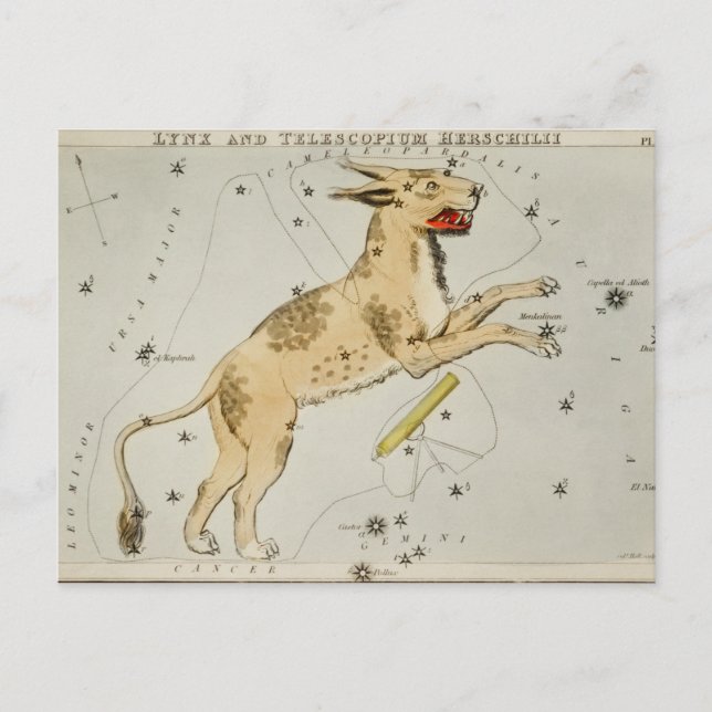 Vintage Constellation Illustration Postcard (Front)