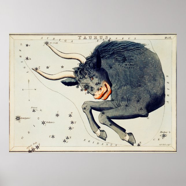 Vintage Constellation Illustration Poster (Front)