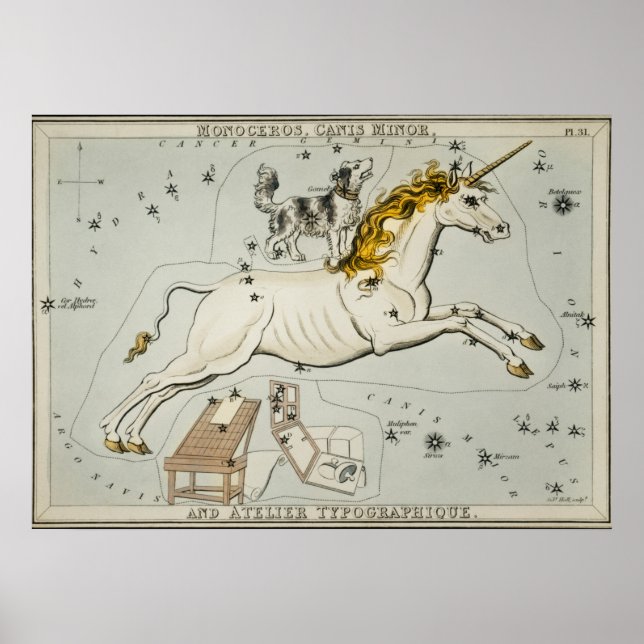 Vintage Constellation Illustration Poster (Front)