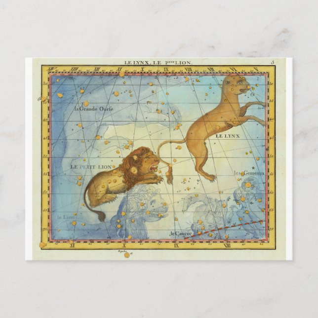 Vintage Constellation Leo Postcard (Front)