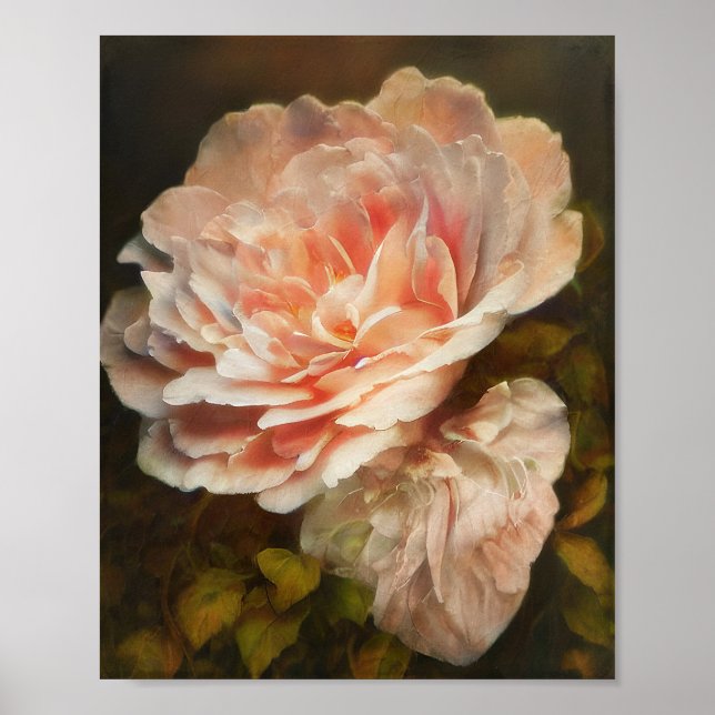 Vintage coral rose poster (Front)