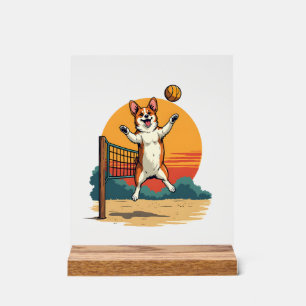 Vintage Corgi Volleyball Retro Sunset Vector Illus Acrylic Sign