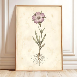 Vintage Corn Cockle Botanical Farmhouse Wall Art