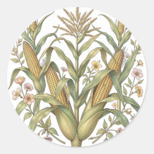 Vintage Corn Stalk Botanical Classic Round Sticker