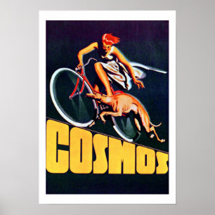 Vintage Cosmos Bicycle Poster