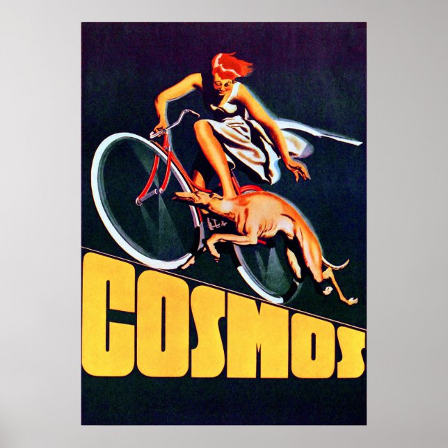 Vintage Cosmos Bicycle Poster (Front)