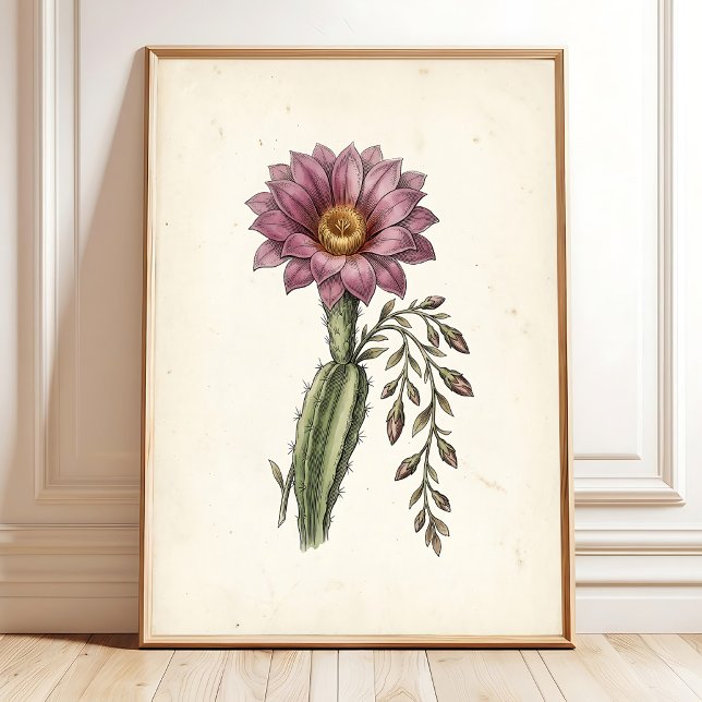 Vintage Cottagecore Cactus Art Print (Creator Uploaded)