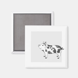 Vintage Cottagecore Pig LineArt Minimalist Pattern Magnet