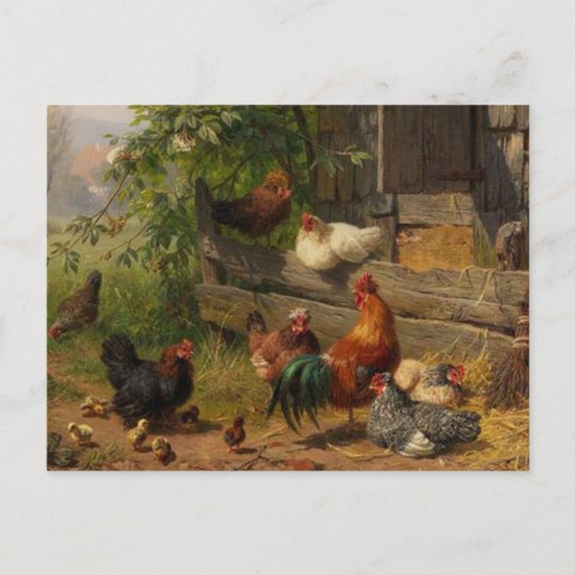 Vintage Country chickens farm postcard (Front)