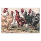 Vintage Country Roosters party tissue