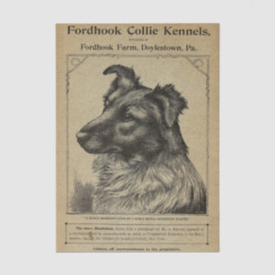Vintage Cover Fordhook Farm Collie Kennels Tissue Paper