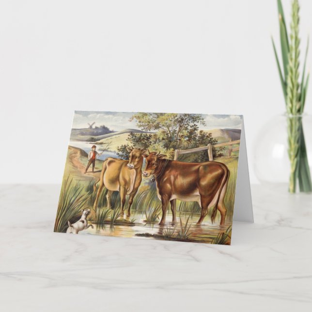 Vintage Cows/Pasture Greeting Card (Front)