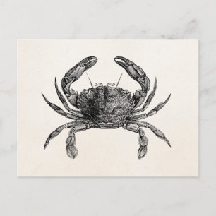 Vintage Crab Antique Crabs Personalised Template Postcard