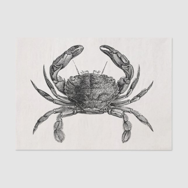 Vintage Crab Antique Crabs Personalised Template Tissue Paper (Front)