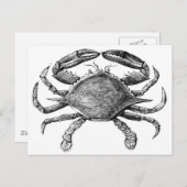 Vintage Crab Drawing Postcard (Front/Back)