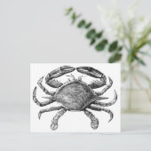 Vintage Crab Drawing Postcard (Standing Front)